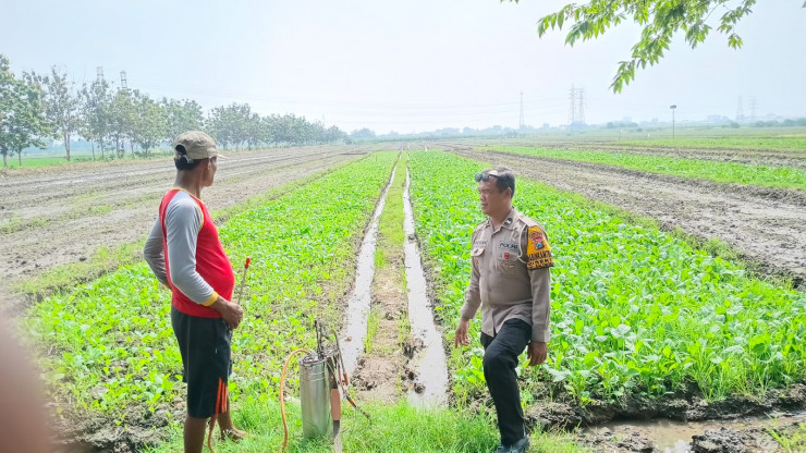 Bhabinkamtibmas Desa Seketi Dorong Ketahanan Pangan Melalui Pekarangan Bergizi