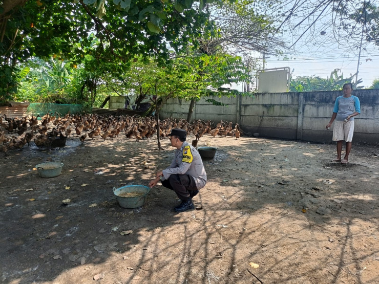 Polsek Porong Tinjau Peternakan Bebek Program P2B