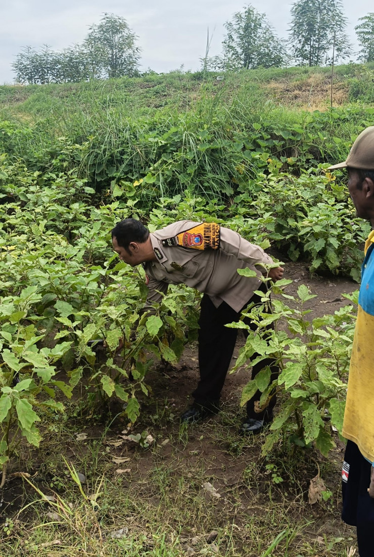 Bhabinkamtibmas Cek Lahan P2B Tanaman Sayur, Dukung Ketahanan Pangan Warga Tambak Kalisogo
